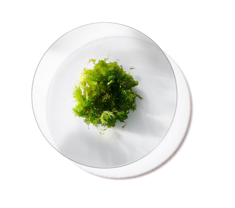 Store Locator The Hair Lab by Strands