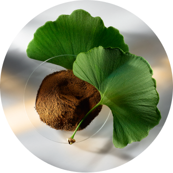 Biloba leaf extract