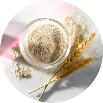 Hydrolyzed vegetable protein