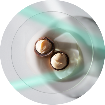 Macadamia Seed Oil
